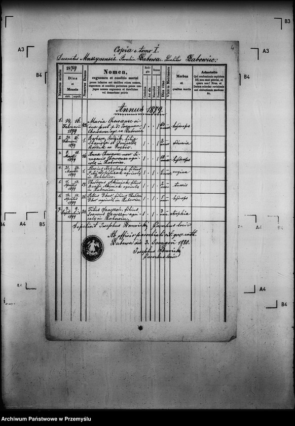 Obraz 8 z jednostki "[Kopie ksiąg metrykalnych parafii Łabowa z filiami Kotów, Łabowiec, Uhryń Niżny (dekanat Muszyna)]"