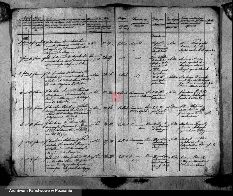 Obraz 2 z jednostki "Liber copulatorum"