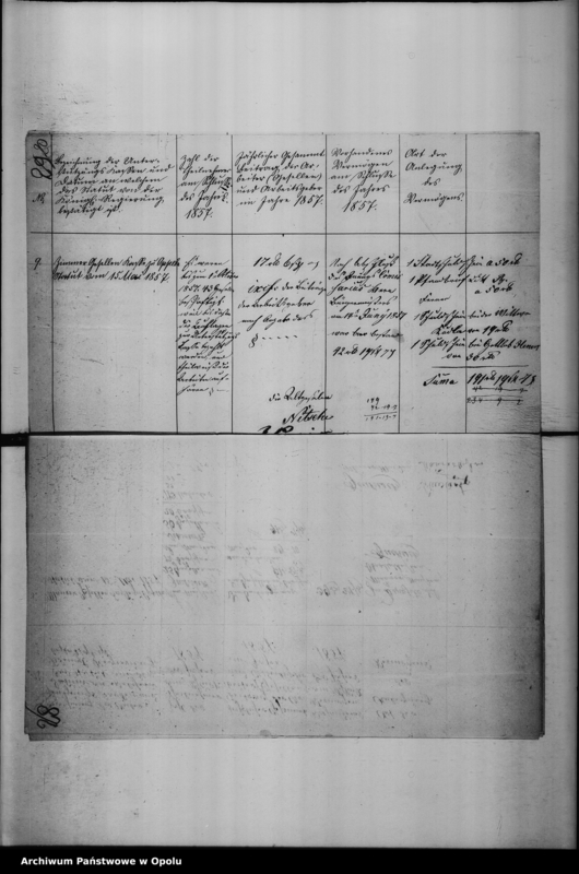 Obraz 19 z jednostki "Acta des Magistrats zu Oppeln betreffend die Hierorts vorhandenen gewerblichen Unterstützungs Kassen Vol. I"