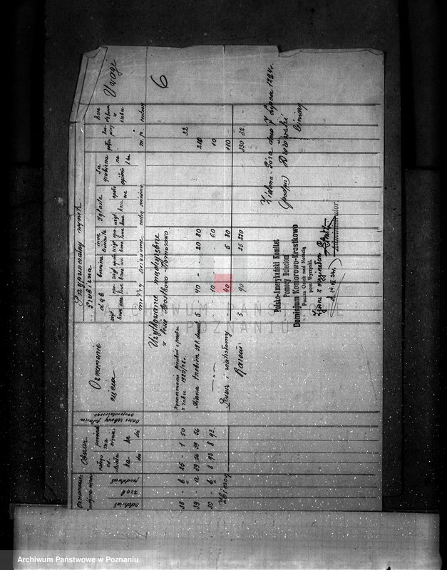 Obraz 10 z jednostki "Majętność leśna Komorowo powiat wyrzyski"
