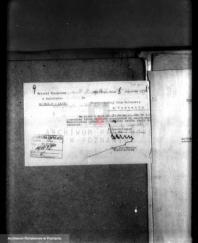 Obraz 16 z jednostki "Zalesienie nieużytków pod nadzorem Izby Rolniczej w powiecie wolsztyńskim"