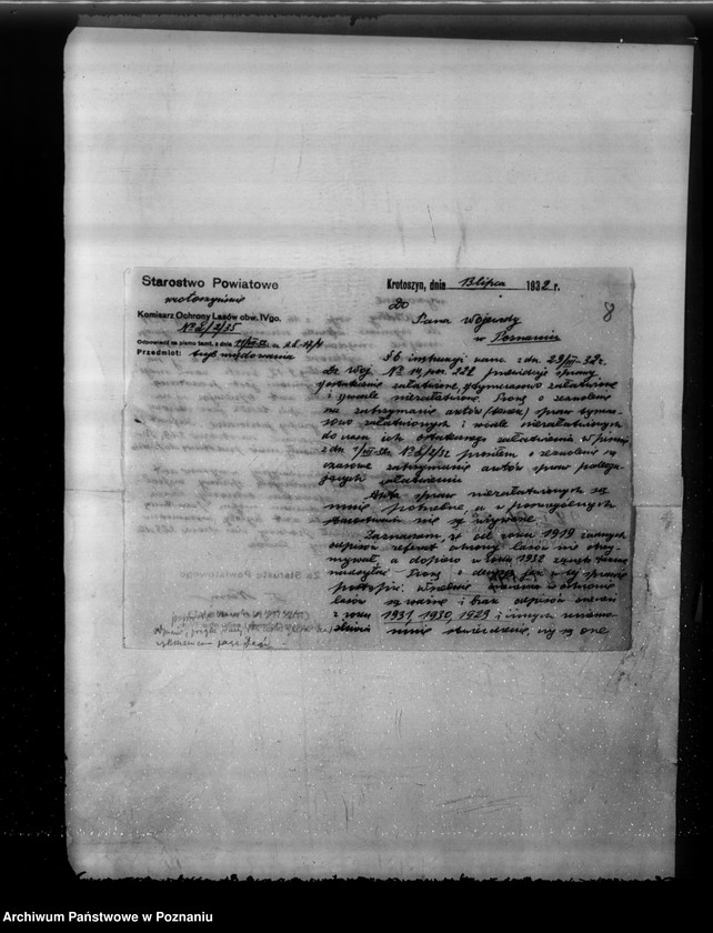 Obraz 12 z jednostki "Komisarze ochrony lasów"