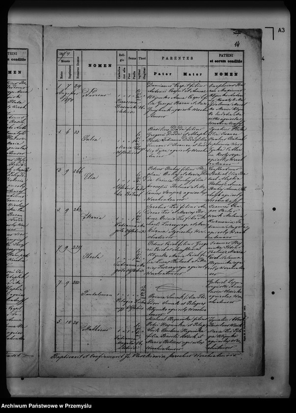 Obraz 18 z jednostki "[Kopie ksiąg metrykalnych parafii Werchrata z filią Prusie (dekanat Rawa Ruska)]"