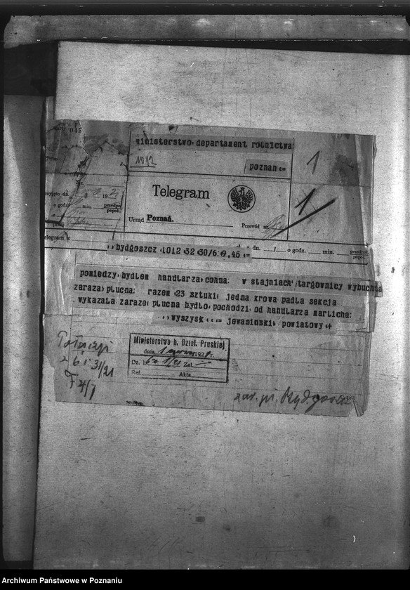 Obraz 5 z jednostki "Zaraza płucna - Bydgoszcz"