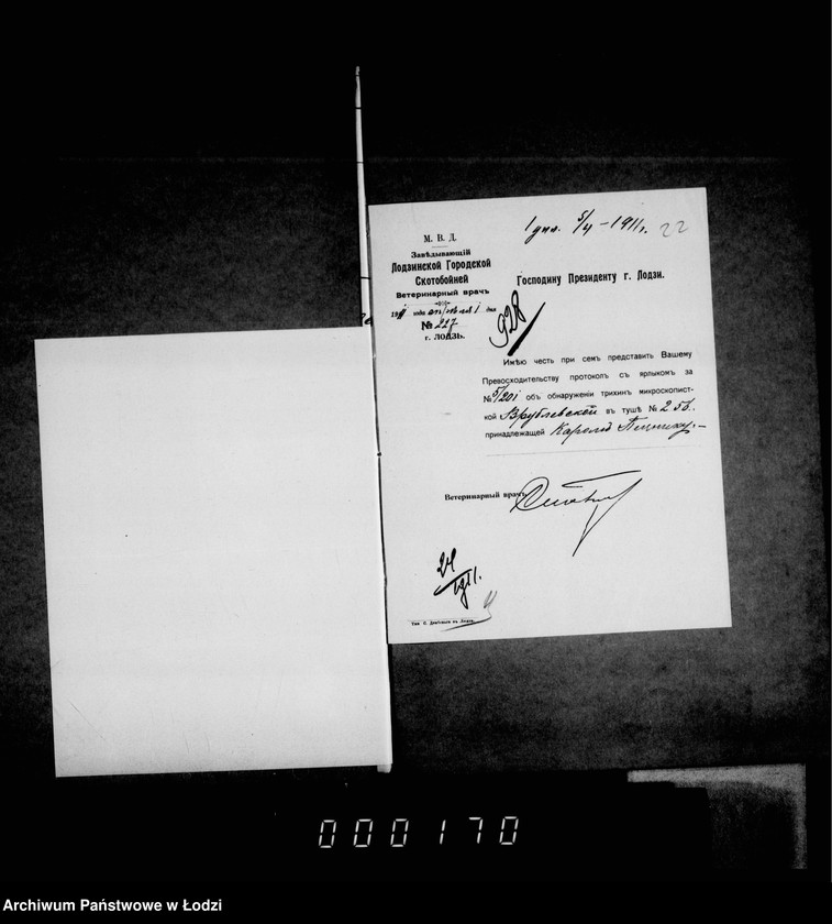 Obraz 19 z jednostki "O voznagraždenji za uničtožennyja na gorodskoj skotobojne trichinoznyja svinnyja tuši"