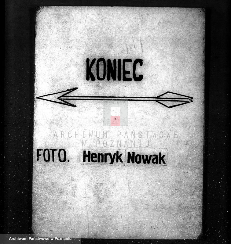 Obraz 14 z jednostki "Las majętność Śniaty powiat kościański"