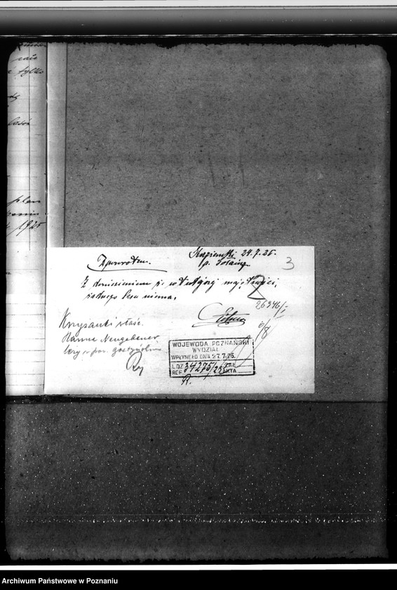 Obraz 7 z jednostki "Majętność leśna Krzyżanki w powiecie gostyńskim"