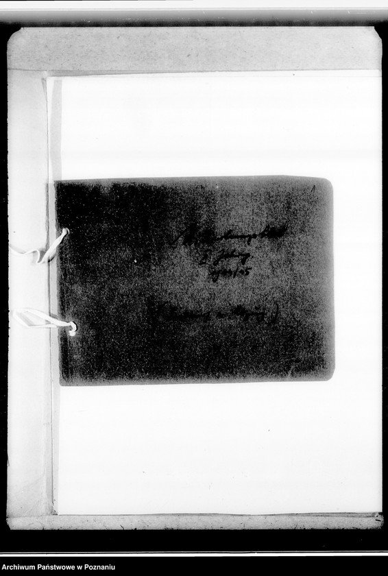 Obraz 5 z jednostki "Mittelungsblätter an die Kreissippenämter für das Geschäftsjahr 1944/45"