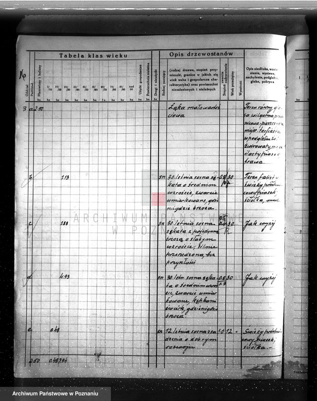 Obraz 20 z jednostki "Plan urządzenia gospodarstwa leśnego dla lasu majętności Buszewko powiat szamotulski 1937-1947"