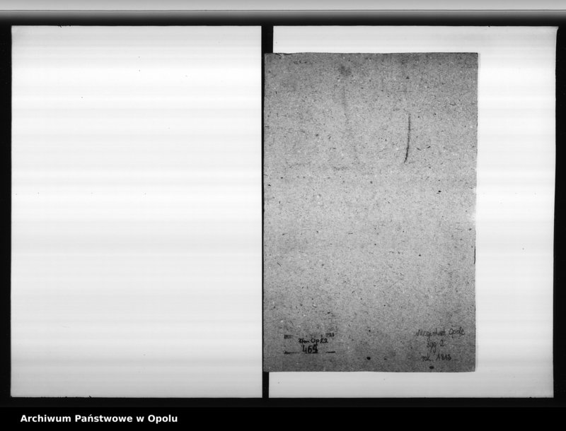 Obraz 4 z jednostki "Acta des Magistrats zu Oppeln ueber die Frage ob die ehemalige Minoritten Innsel Polko zum Lande oder zum städtischen Verbande gehören? 1813"