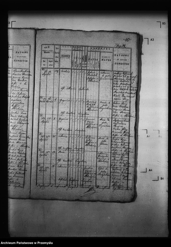 Obraz 14 z jednostki "[Kopie ksiąg metrykalnych parafii Radochońce z filią Horysławice (dekanat Niżankowice)]"