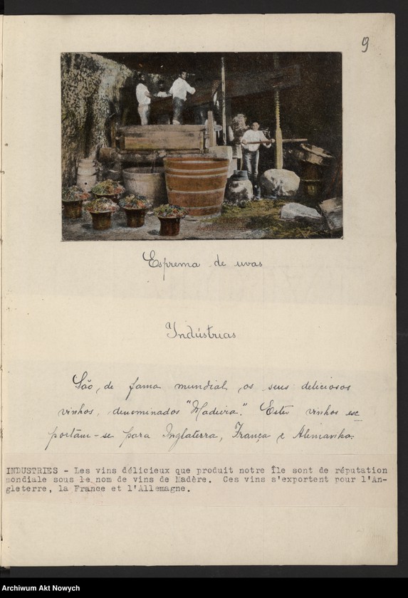 Obraz 13 z kolekcji "Madera111"