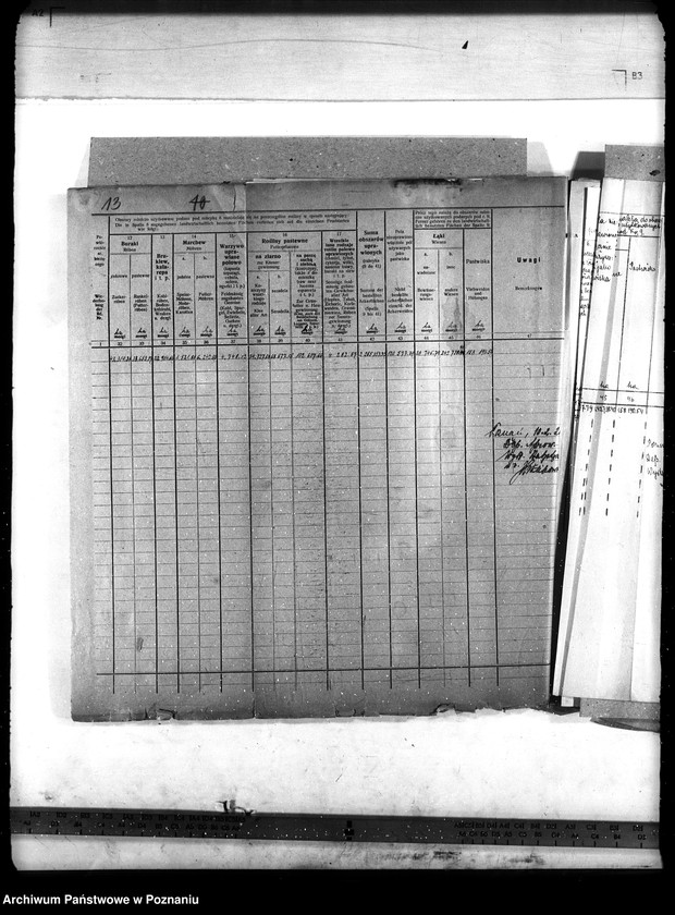 Obraz 18 z jednostki "Statystyka"