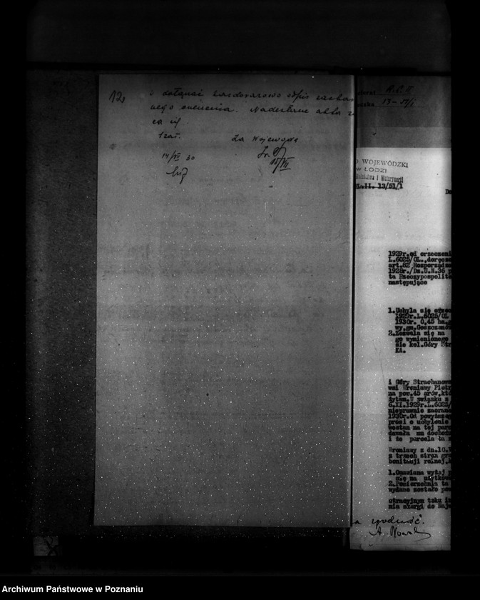 Obraz 16 z jednostki "Gmina Goszczanów powiat turecki /nadzór nad gospodarką leśną/"