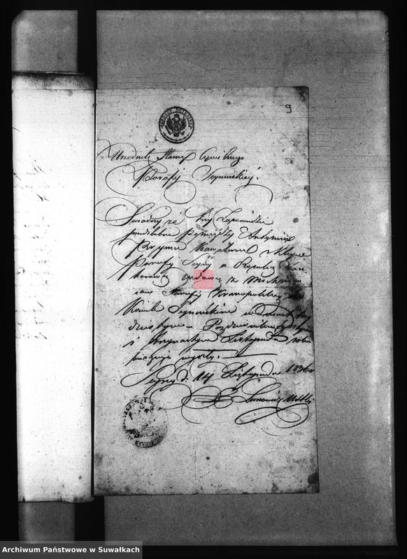 Obraz 13 z jednostki "[Wypisy do akt małżeństw parafii Krasnopol]."