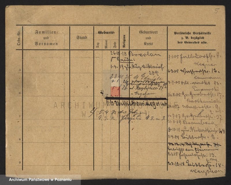 Obraz 7 z jednostki "Dzikowski - Dzyskowska"