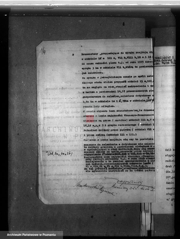 Obraz 19 z jednostki "Majętność leśna Wronczyn-Pomarzanowice powiat poznański"