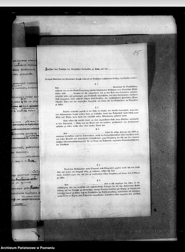 image.from.unit.number "Sprawy stadnin licencjonowanie ogierów prywatnych"