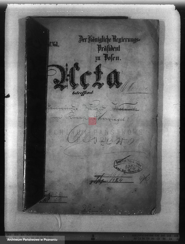 Obraz 4 z jednostki "Las gminy Olszewo powiat ostrowski"