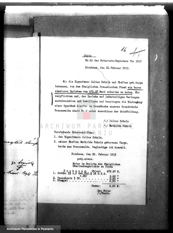 Obraz 20 z jednostki "Nadzór nad gospodarką w lasach majątku Bukowce powiat międzychodzki"