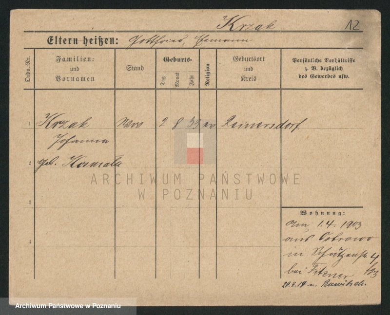 Obraz 12 z jednostki "Krzaczek - Krzyślak"