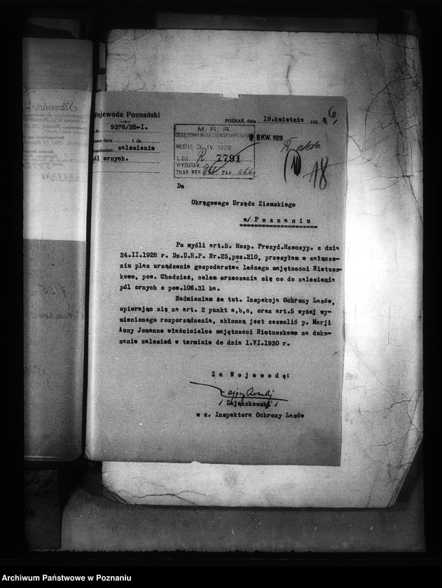 Obraz 9 z jednostki "/Majętność Nietuszkowo powiat chodzieski wyłączenie z art.. 4 i 5/ ustawy o wykonaniu reformy rolnej"