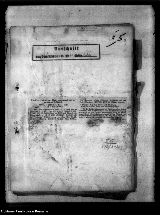 Obraz 13 z jednostki "Maul - und Klauenseuche"