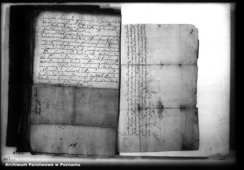 Obraz 19 z jednostki "Lauda [acticantia]"