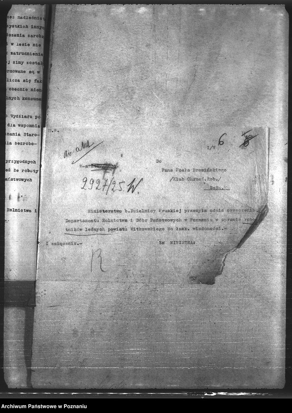 Obraz 10 z jednostki "Leśnictwo"