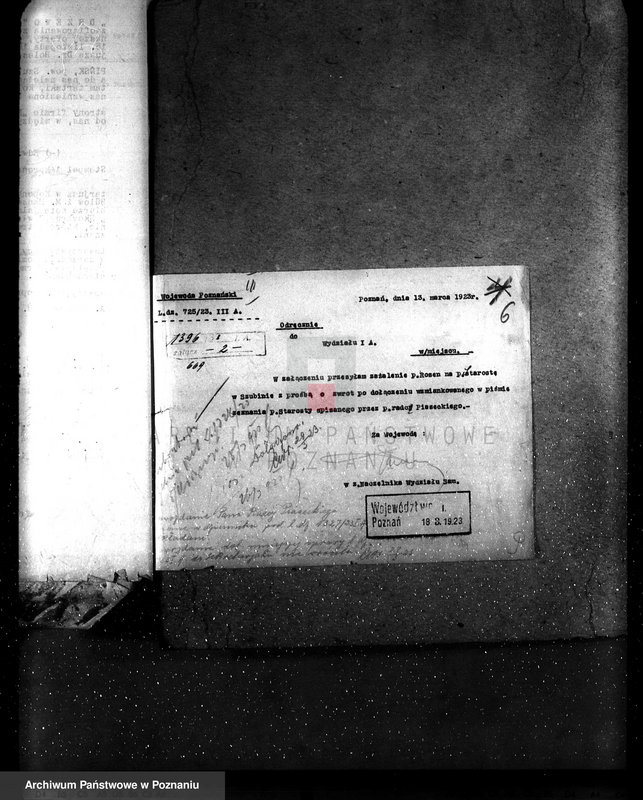 Obraz 10 z jednostki "Majętność leśna Pińsko powiat szubiński"