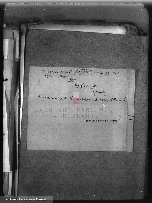 image.from.unit.number "Majętność Przygodzice powiat ostrowski /nadzór nad gospodarką leśną/"