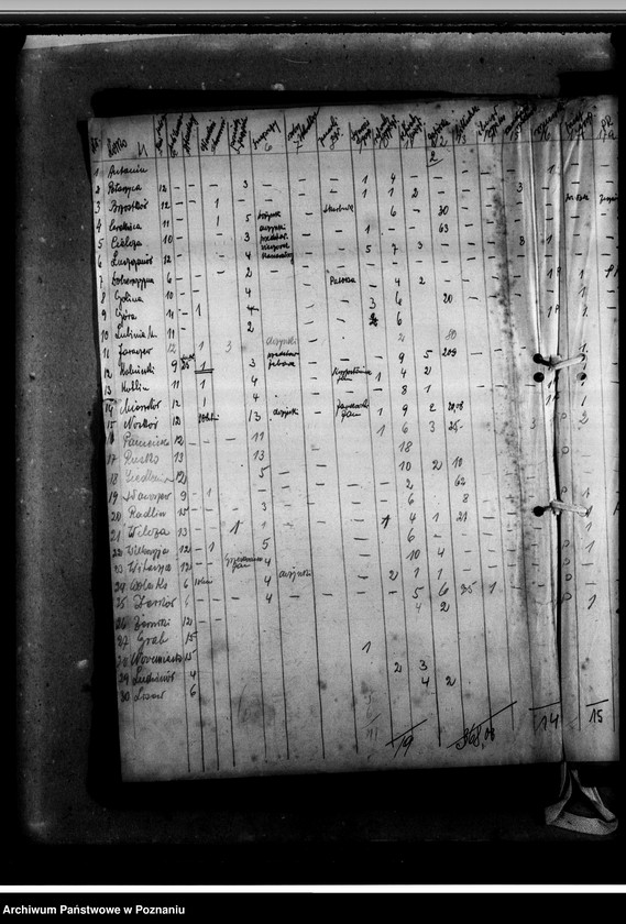 Obraz 7 z jednostki "Sprawozdania z działalności"