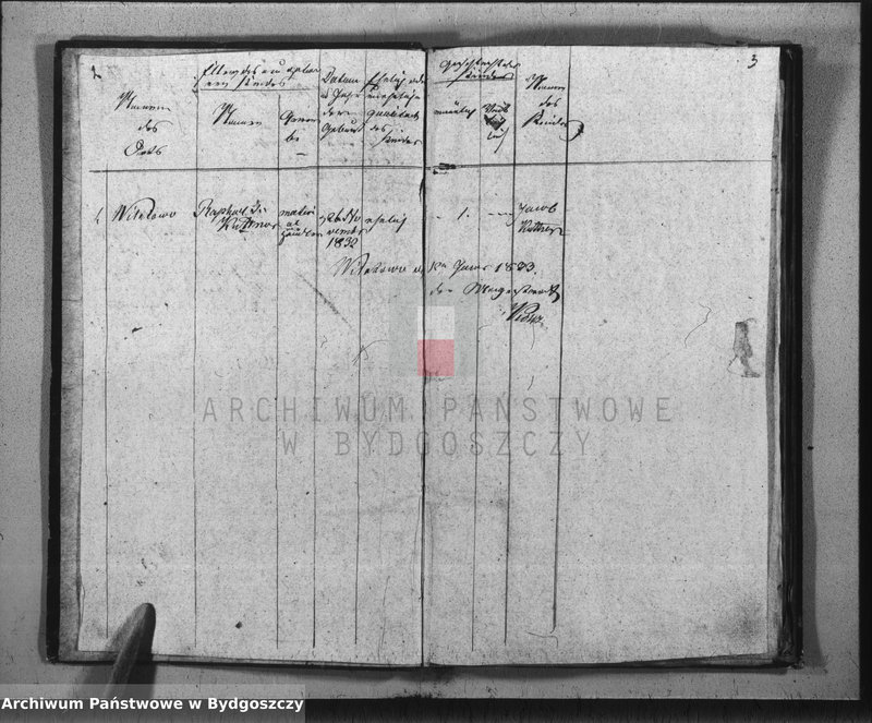 image.from.unit.number "Duplicate der Civil Standes Bücher der Juden Gemeinde zu Wilatowo"