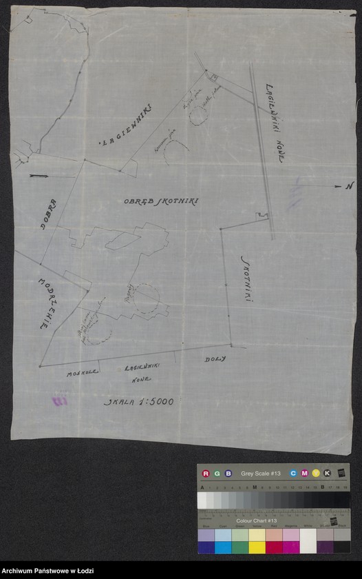 Obraz 1 z jednostki "Obręb leśny - Skotniki w lasach miejskich Łagiewniki"