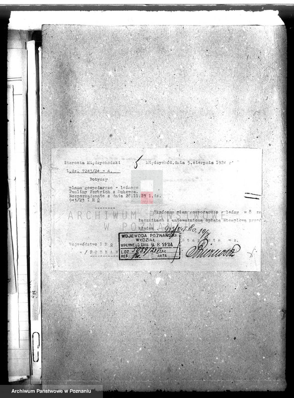 Obraz 9 z jednostki "Nadzór nad gospodarką w lasach majątku Bukowce powiat międzychodzki"