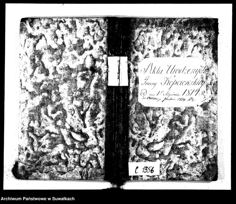 Obraz 2 z jednostki "Akta Urodzonych Gminy Kopciowskiey od dnia 1-go Stycznia 1814 R. do ostatniego Grudnia 1814 R."