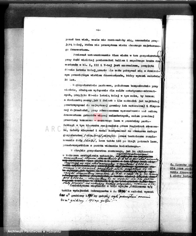 Obraz 9 z jednostki "/Nadzór nad gospodarką leśną gminy miasta Czarnkowa"