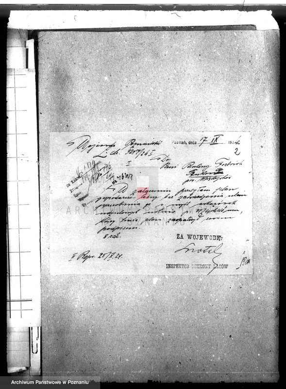 Obraz 6 z jednostki "Nadzór nad gospodarką w lasach majątku Bukowce powiat międzychodzki"