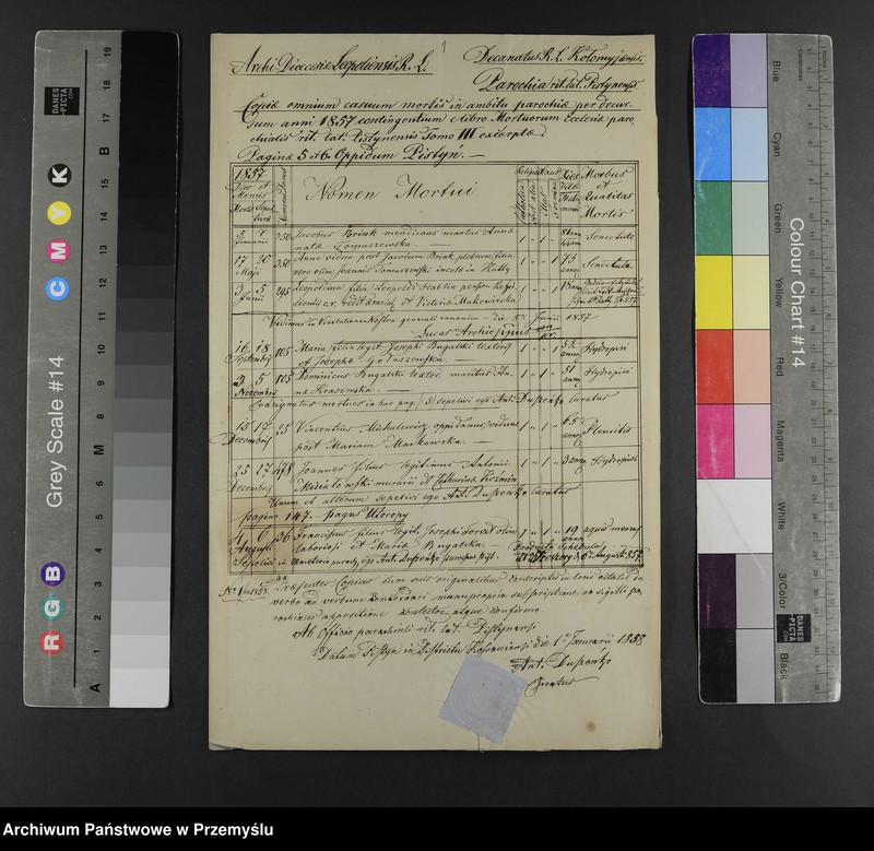 Obraz 3 z jednostki "[Odpisy ksiąg zgonów parafii rzymskokatolickiej Pistyń z lat 1857-1860, 1863-1865]"