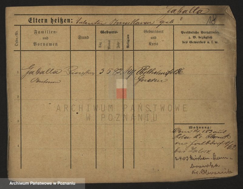 Obraz 20 z jednostki "Gaab - Gaciorkowski"