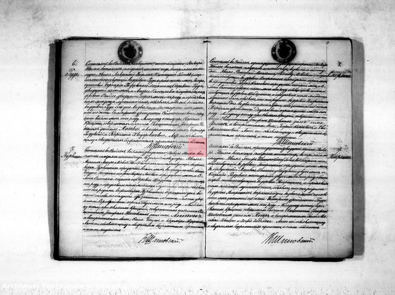 image.from.unit.number "Duplikat aktov rodivšichsja, umeršich i brakosočetavšichsja vejsejskogo rimsko-katoličeskogo prichoda na 1876 god"