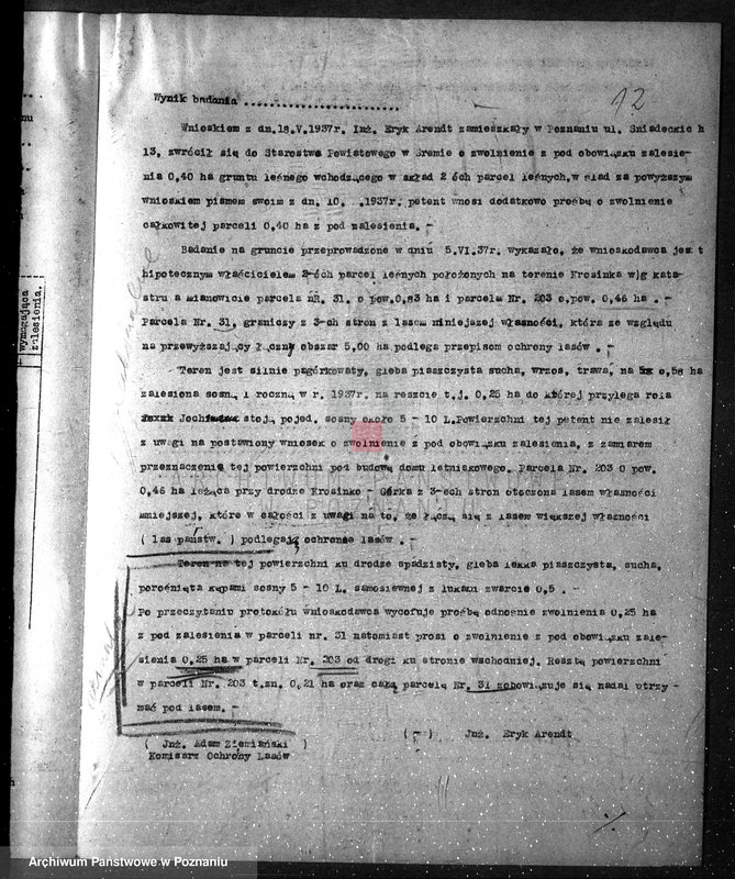 Obraz 16 z jednostki "/Zalesienie gruntów ornych/"