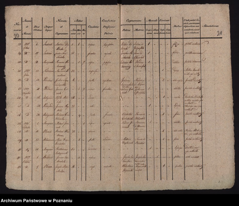 Obraz 14 z jednostki "Liber duplicatus baptisatorum, copulatorum et mortuorum"