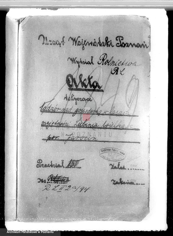 Obraz 4 z jednostki "Nadzór nad gospodarką w lasach majątku Lubinia-Wielka w powiecie jarocińskim"