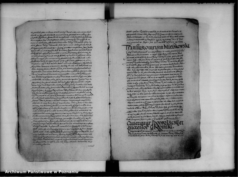 Obraz 7 z jednostki "Inscriptiones, relationes [inducta]"