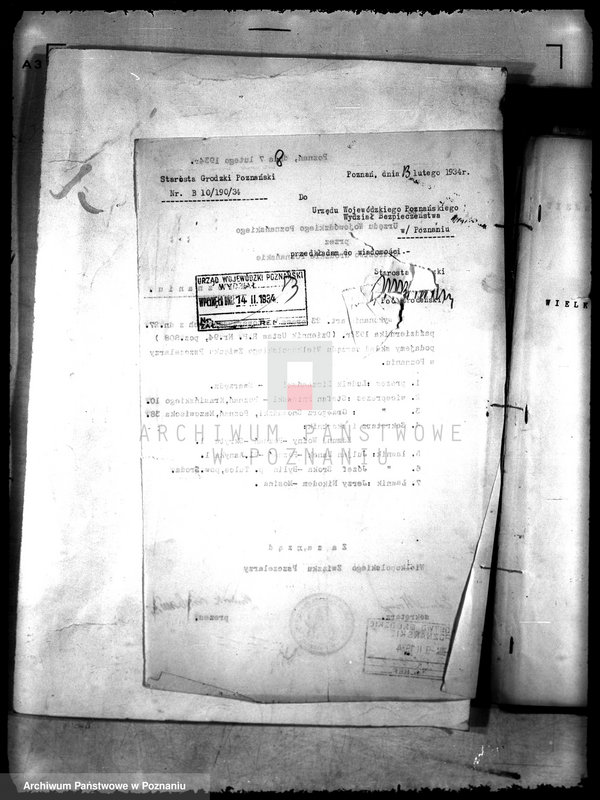 Obraz 12 z jednostki "Wielkopolski Związek Pszczelarski"