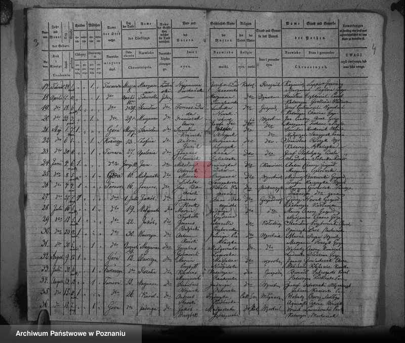 Obraz 5 z jednostki "Duplikat baptisatorum, copulatorum, mortuorum"