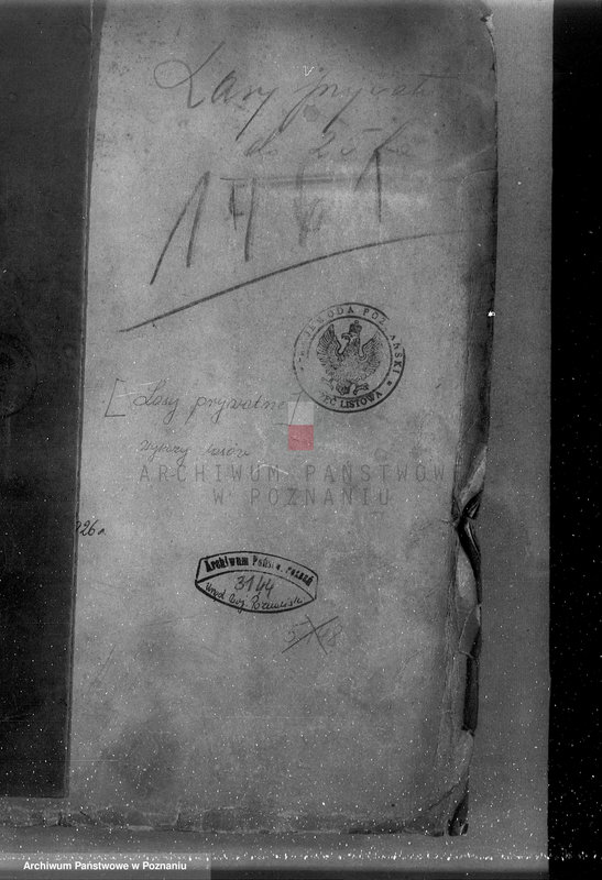 Obraz 4 z jednostki "/Lasy prywatne/ Spis według powiatów"