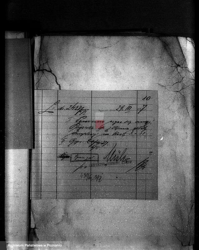 image.from.unit.number "Majętność leśna Przysieka powiat wągrowiecki"