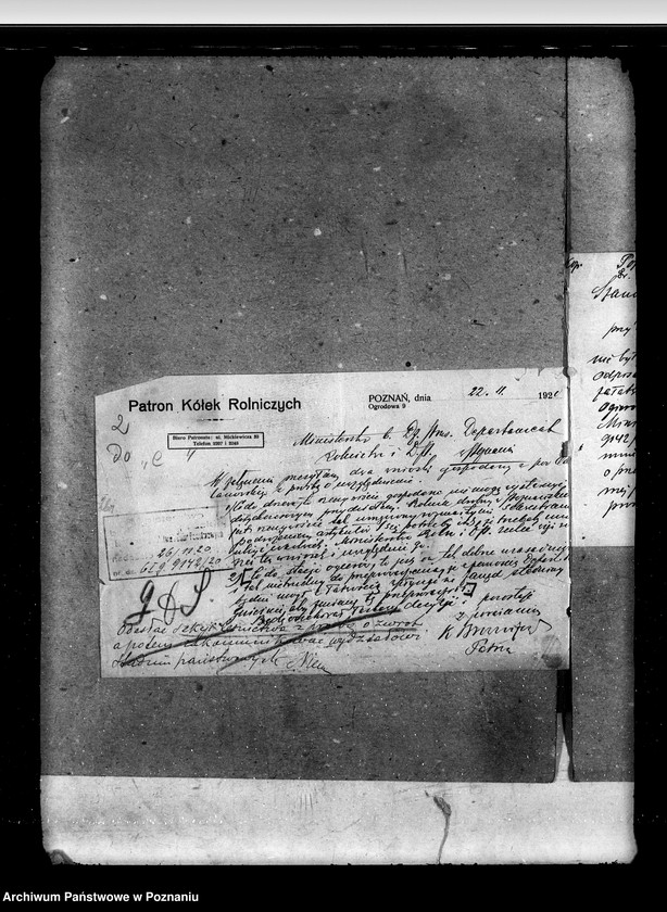 Obraz 6 z jednostki "Sprawy stadnin rozdział rządowych ogierów na stacjach"